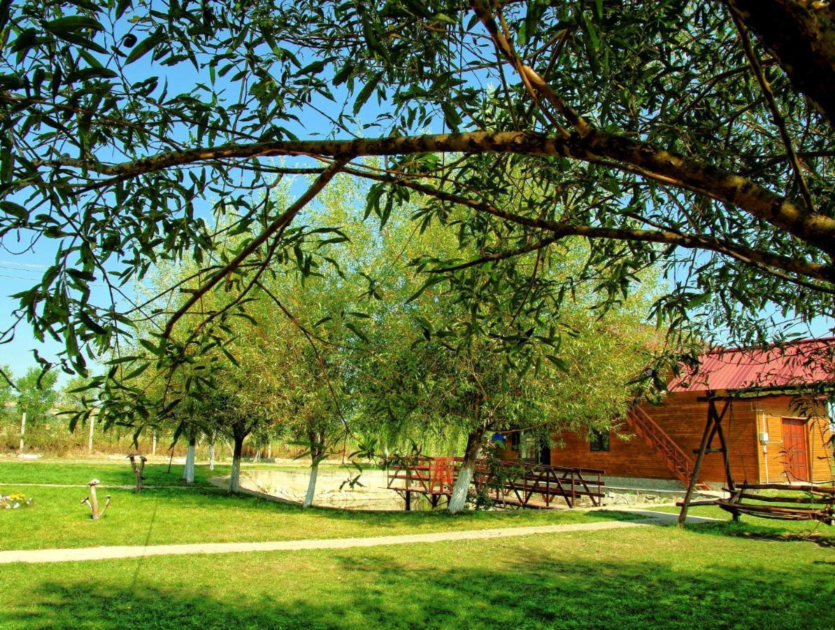 Pensiunea ,,La Struti" Târgu Neamţ Exterior foto